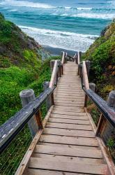 Boardwalk Trail To Sand Dollar Beach | Obraz na stenu