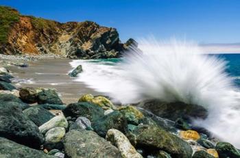 Crashing Surf, Limekiln State Park | Obraz na stenu