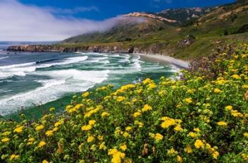 Wildflowers Above Sand Dollar Beach | Obraz na stenu