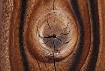 Old Wood Design, California | Obraz na stenu
