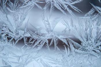 Frost On A Window | Obraz na stenu