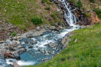 Animas River, Colorado | Obraz na stenu