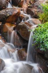 Close-Up Of Cascade And Chiming Bells Flowers | Obraz na stenu