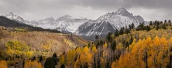 Colorado, San Juan Mountains, Panoramic Of Storm Over Mountain And Forest | Obraz na stenu