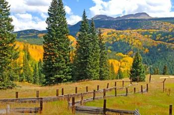 Autumn Colors In The San Juan Mountains, Colorado | Obraz na stenu