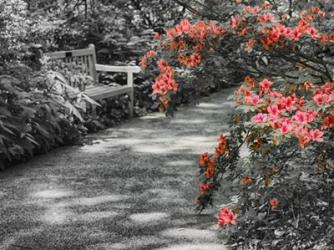 Delaware, Walkway In A Garden With Azaleas And A Park Bench | Obraz na stenu