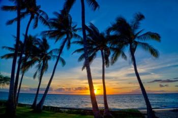 Sunset And Silhouetted Palm Trees, Kihei, Maui, Hawaii | Obraz na stenu