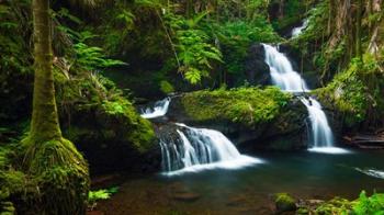 Onomea Waterfalls At The Hawaii Tropical Botanical Garden | Obraz na stenu