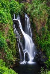 Cascade On The Hamakua Coast, The Big Island, Hawaii | Obraz na stenu