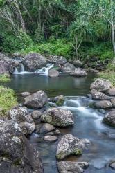 Limahuli Garden And Preserve, Kauai, Hawaii | Obraz na stenu