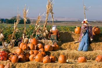 Scarecrows, Fruitland, Idaho | Obraz na stenu