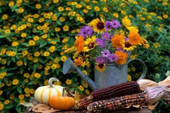 Autumn Display Of Flowers | Obraz na stenu