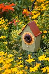 Sunflower Birdhouse In Garden | Obraz na stenu