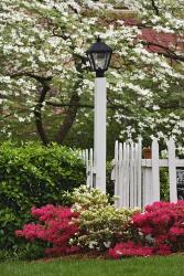Pickett Fence, Lamp, Azaleas, And Flowering Dogwood Tree, Louisville, Kentucky | Obraz na stenu