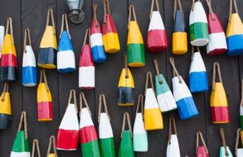 Colorful Buoys Hanging On Wall, Bar Harbor, Maine | Obraz na stenu