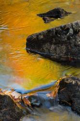 Abstract River, Acadia National Park, Maine | Obraz na stenu