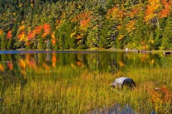 Autumn Reflections In Bubble Pond, Acadia National Park, Maine | Obraz na stenu