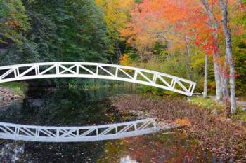 White Footbridge In Autumn, Somesville, Maine | Obraz na stenu
