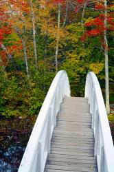 White Footbridge Path, Maine | Obraz na stenu