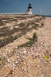 Nantucket Shell in front of Brant Point lighthouse | Obraz na stenu