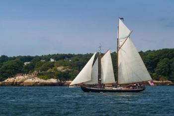 Annual Schooner Festival, Massachusetts | Obraz na stenu