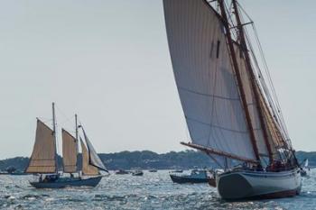 Schooners Sailling, Massachusetts | Obraz na stenu