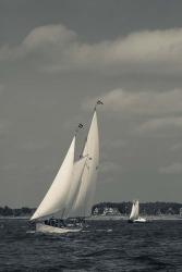 Annual Schooner Festival, Gloucester (BW) | Obraz na stenu