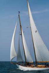 Schooner #22 Sailing, Massachusetts | Obraz na stenu