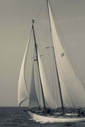 Schooner #22 Sailing, Massachusetts (BW) | Obraz na stenu
