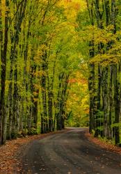 Covered Road Near Houghton, Michigan | Obraz na stenu