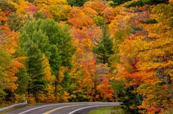 Autumn Color Along Highway 26 Near Houghton, Michigan | Obraz na stenu