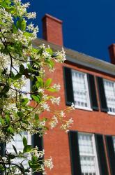 Spring Pilgrimage, 'Rosalie' house, 1820, Natchez, Mississippi | Obraz na stenu