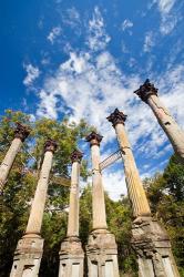 Mississippi, Windsor Ruins, plantation house | Obraz na stenu