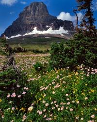 Clements Mountain, Glacier National Park, Montana | Obraz na stenu