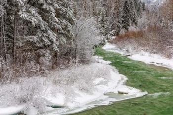 Coal Creek In The Winter, Montana | Obraz na stenu
