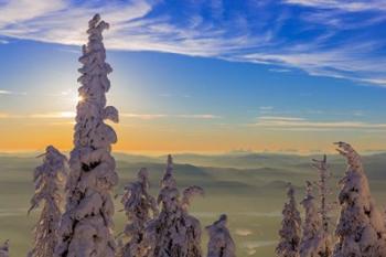 Snowghosts In Whitefish, Montana | Obraz na stenu