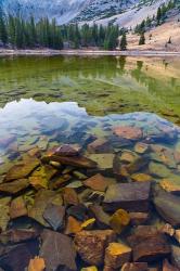 Stella Lake, Great Basin National Park, Nevada | Obraz na stenu