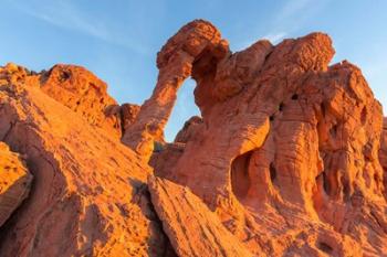 Fire State Park's Elephant Rock, Nevada | Obraz na stenu