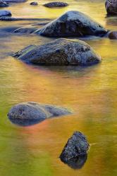 Swift River, White Mountain Forest, New Hampshire | Obraz na stenu