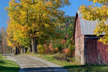 Rural barn, farm in autumn, New Hampshire | Obraz na stenu