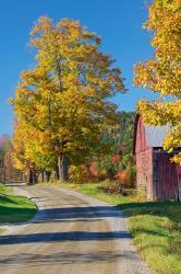 Road beside Classic Farm in Autumn, New Hampshire | Obraz na stenu
