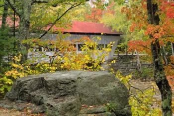 Albany Bridge, White Mountain Forest, New Hampshire | Obraz na stenu