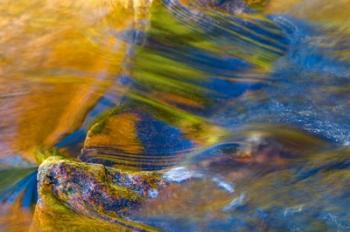 Fall Reflections in Stream, White Mountain National Forest, New Hampshire | Obraz na stenu