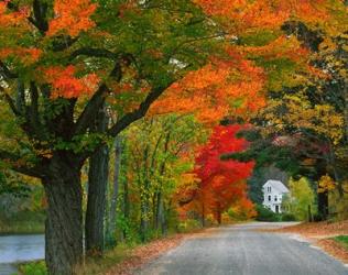New Hampshire, Andover Autumn color, England home | Obraz na stenu