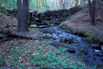 Banks of Lamprey River, National Wild and Scenic River, New Hampshire | Obraz na stenu