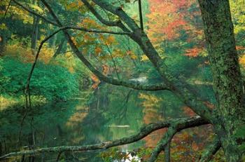 Fall Along the Lamprey River in Durham, New Hampshire | Obraz na stenu