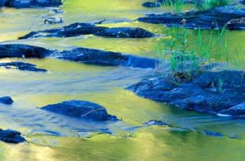 Summer Reflections in the Waters of the Lamprey River, New Hampshire | Obraz na stenu