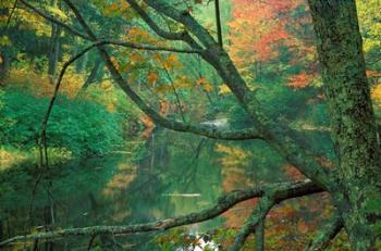 Fall on the Lamprey River below Wiswall Dam, New Hampshire | Obraz na stenu