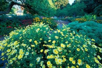 Prescott Park Garden, New Hampshire | Obraz na stenu