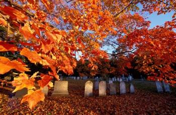 Fall Morning in a Portsmouth Cemetary, New Hampshire | Obraz na stenu